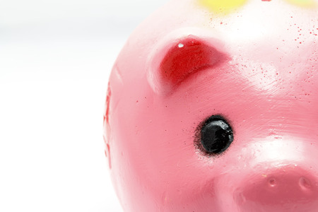 close up eye of piggy bank on white background.の写真素材