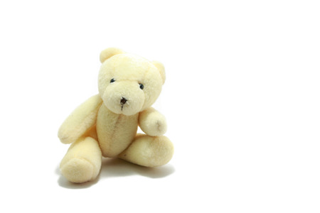 teddy bear on White Backgroundの写真素材