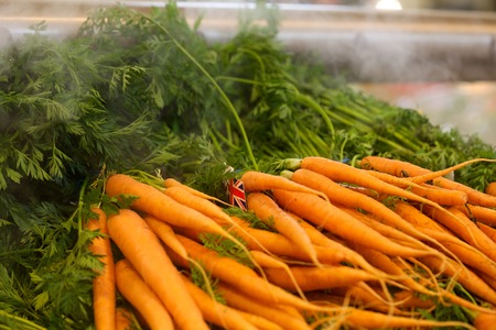 Bunches of unpackaged carrots in a supermarket greengrocersの写真素材