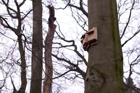 Three wooden bird boxes attached to a tree in a woodland area attracting native birds to nest.