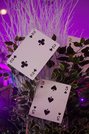 Two playing Cards showing the two of clubs and three of spades,の写真素材