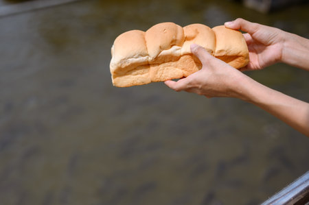 person holding a loaf of bread