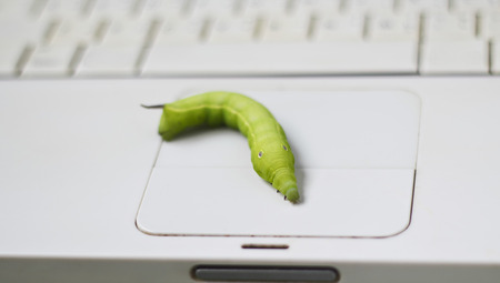 worm bug on computer