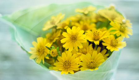 Abstract flower petals in green and yellow natureの写真素材