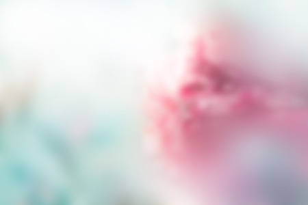 abstract flower pastel blur for background, soft and blur conceptの写真素材