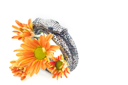 bangle silver and crytal snake shape design on vibrant flowerの写真素材