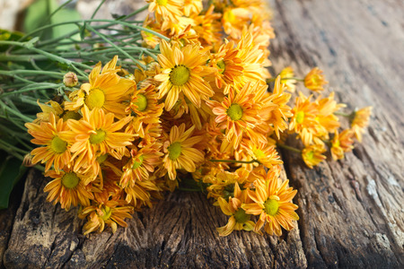 vibrant and warm tone local flowers on grunge wooden background, soft focusの写真素材