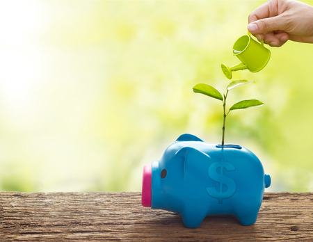hand and watering can, Sprout growing on colorful piggy bank on wooden and nature background, business concept, blank text and soft focusの写真素材