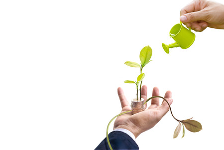 Businessman with tree and coins on hand and hand watering on top tree on white background, business concept, blank textの写真素材