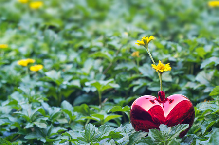 yellow flowers in red heart shape on green nature background, soft focusの写真素材