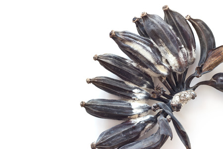 Moldy banana with fungus on white backgroundの写真素材