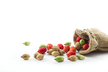 colorful palm seeds in the sack on white backgroundの写真素材