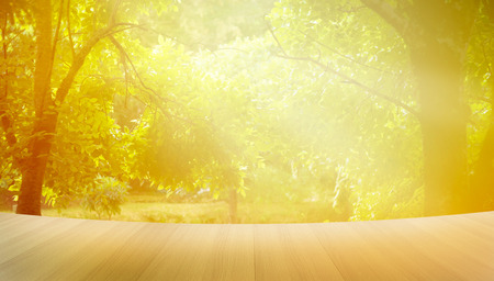 wooden floor, morning sunshine in the park summer, vibrant and soft focusの写真素材