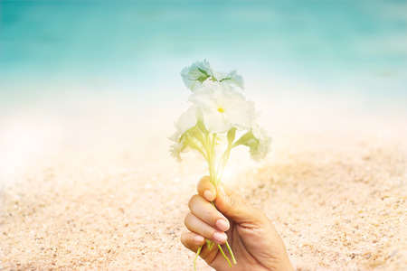 Abstract seaside flowers in hand on sand sea beach summer day background, Vintage color tone and  soft focusの写真素材