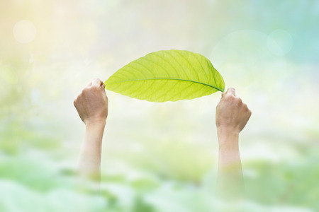 abstract, holding a green leaf on the pastel and vibrant nature background
