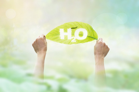 abstract, holding a green leaf in the word H2O on vibrant nature backgroundの写真素材