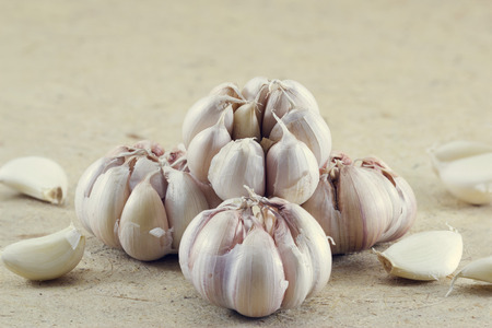 Garlic on the paper texture backgroundの写真素材
