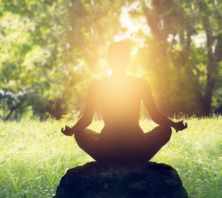Sunset meditation in forestの写真素材