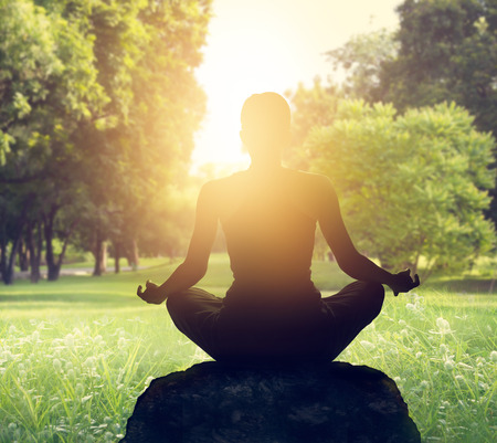 Sunset meditation in forestの写真素材