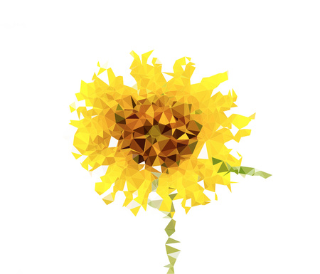 Polygonal flower triangle on white  background, illustration.の写真素材