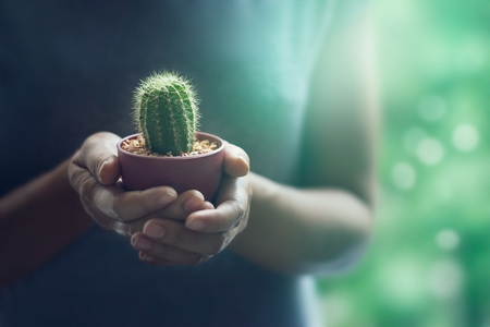 colorful woman holding a small cactus in hands gently on nature backgroundの写真素材