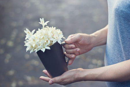Woman hands holding white flowers in cup on falling flowers background, Filter imageの写真素材
