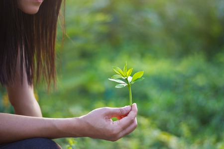 Sapling of plant in woman's hand on green nature backgroundの写真素材