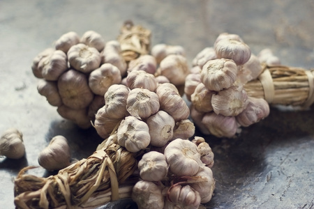 Garlic bulb group on floor background, soft focusの写真素材