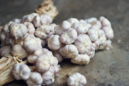 Garlic bulb group on floor backgroundの写真素材