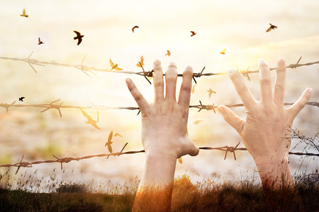 Hands of wire prison with bird flying on sunset sky backgroundの写真素材