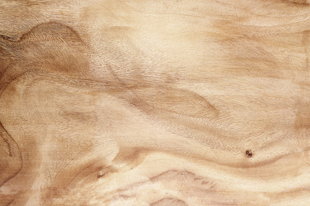 wood texture rough and burr for backgroundの写真素材