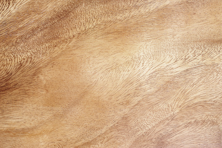 burr wood texture backgroundの写真素材