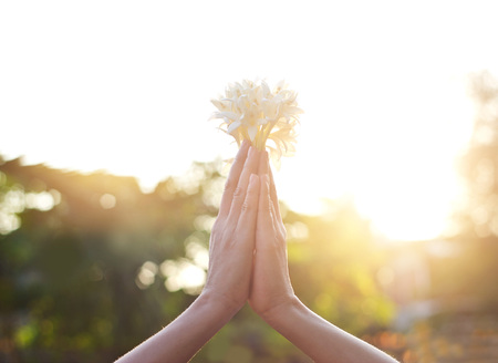 Respect and pray with flower on nature backgroundの写真素材
