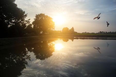 Rural agriculture landscape, environment conceptの写真素材