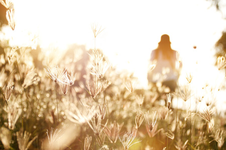 Woman in field of grass during sunset, soft focusの写真素材