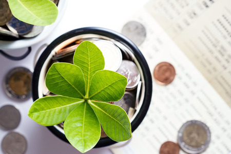 Tree of coins represented saving money and growing of business. Financial and banking conceptの写真素材