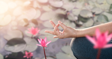 Woman yoga practicing and meditating by the red lotus lake backgroundの写真素材