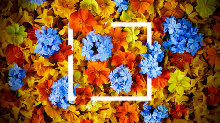 Colorful flowers background and square frame. Fresh template design for brochures, posters, flyers or vouchers and card.の写真素材