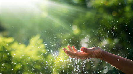 Water pouring and splash in woman hand on nature background, earth day, environment issues