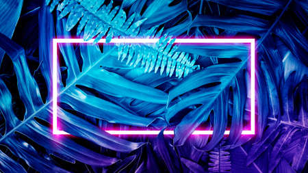 Colorful nature concept, Neon colorful of tropical leaves with neon frame, Leaf of plant, Creativity and design, Blue tone.の写真素材