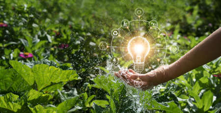 Hands of men holding and glowing light bulb in the splash water. Symbol. Against nature on green leaf background with icons energy sources for renewable, sustainable development. Ecology concept.の写真素材