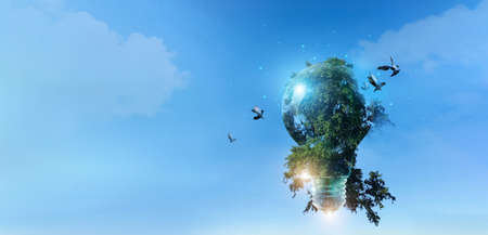 Environment friendly, Light bulb with green tree and birds fly of freedom, Sustainable development, ecology and environment protection, Earth day, Renewable energy and recycling, Save energy.の写真素材
