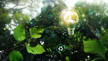 Environmental technology and Sustainable development, save the planet and energy, Recycle and reuse, Light bulb of eco friendly in the green nature.の写真素材