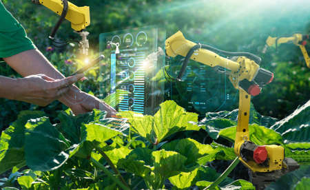 AI. Farmer use smartphone and robotics assistant. Pollinate of fruits and vegetables. Detection spray chemical. Leaf analysis and foliar fertilization. Science. Agriculture farming technology concept.の写真素材