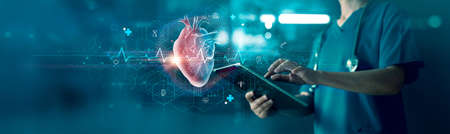 Cardiologist doctor examine heart functions and check up report electronic medical record of patient...