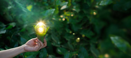 Hand holding light bulb against nature on green leaf with energy sources, Sustainable developmen and responsible environmental, Energy sources for renewable, Ecology concept.の写真素材