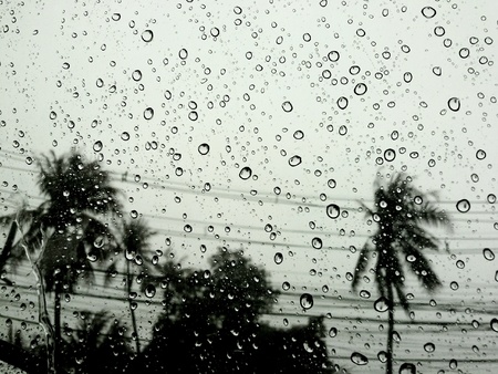 Water drops in raining day