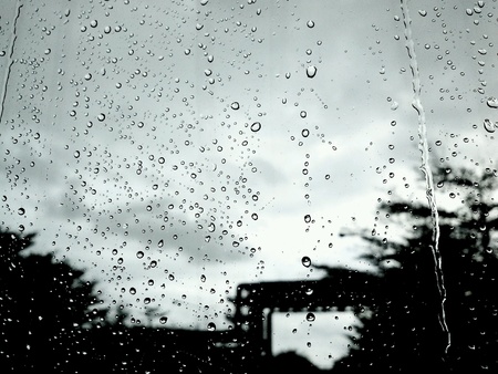 Drops of water in raining day