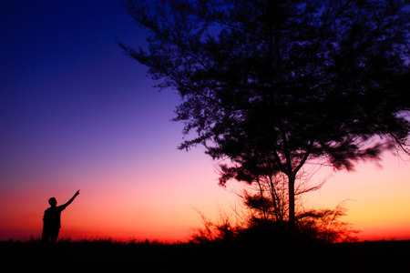 Tree with beautiful sunset