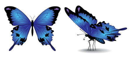 Snowman with Red glossy ribbon vector banners for merry christmasのイラスト素材